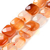 Natural Agate Beads Strands G-H024-D01-01-1