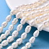 Natural Cultured Freshwater Pearl Beads Strands PEAR-S012-41B-1