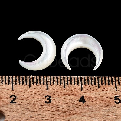 Natural White Shell Beads SHEL-M020-04C-1