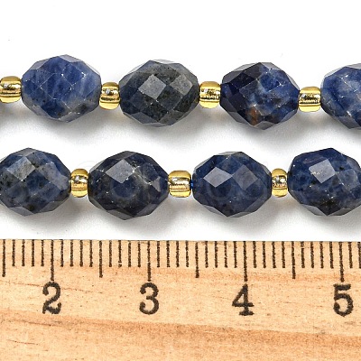 Natural Sodalite Beads Strands G-N342-37-1