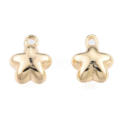 Brass Charms KK-N216-563LG-1