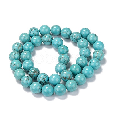 Natural Magnesite Beads Strands G-TAC0001-03D-1