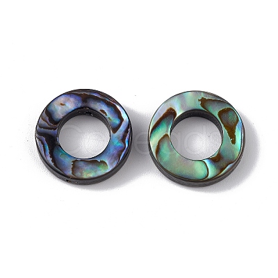 Natural Abalone Shell/Paua Shell Beads SSHEL-M021-06-1