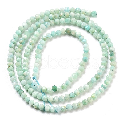 Natural Amazonite Beads Strands G-G161-A02-01-1