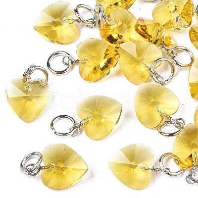 Faceted Transparent Glass Charms GLAA-T024-04K-1