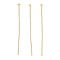 Brass Flat Head Pins, Real 18K Gold Plated, 35.5x0.6mm, Head: 2mm