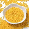 Baking Paint Glass Seed Beads SEED-P006-03A-04-2