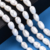 Natural Cultured Freshwater Pearl Beads Strands PEAR-N012-06L-6