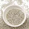 Electroplate Glass Seed Beads SEED-S042-01B-08-2