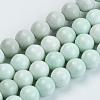 Natural Agate Beads Strands X-G-S286-06D-1