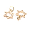 Brass Micro Pave Clear Cubic Zirconia Charms KK-G418-01G-3