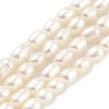 Natural Cultured Freshwater Pearl Beads Strands PEAR-P062-01H-1