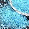 6/0 Glass Seed Beads X-SEED-J012-F6-103-1