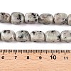 Natural Sesame Jasper/Kiwi Jasper Beads Strands G-T138-80-5