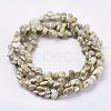 Natural Sea Shell Beads Strands BSHE-K012-05-2