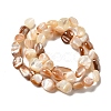 Natural Sea Shell Beads Strands SHEL-K006-16B-2