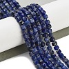 Natural Sodalite Beads Strands G-H042-A08-02-2