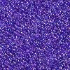 11/0 Grade A Transparent Glass Seed Beads X-SEED-N001-E-445-2