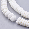 Natural White Shell Beads Strands BSHE-P026-30-3