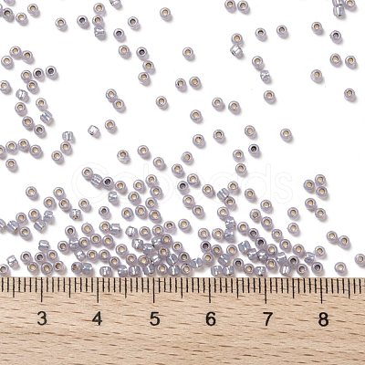 TOHO Round Seed Beads SEED-XTR08-PF2122-1