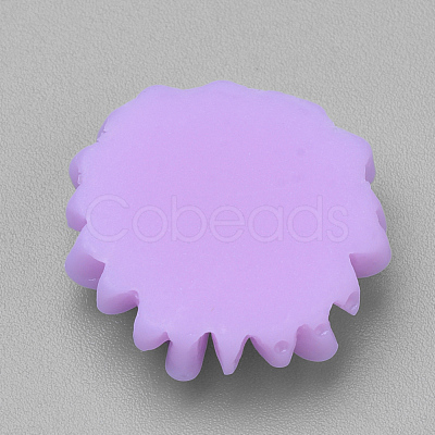 Resin Cabochons CRES-Q197-24B-1