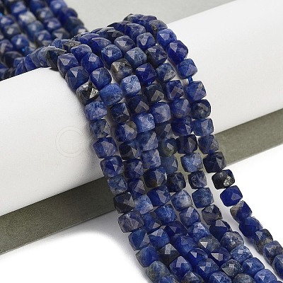 Natural Sodalite Beads Strands G-H042-A08-02-1