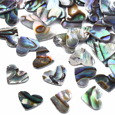 Natural Abalone Shell/Paua Shell Cabochons SSHEL-N034-117-1