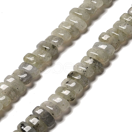 Natural Labradorite Beads Strands G-Q167-B19-01-1