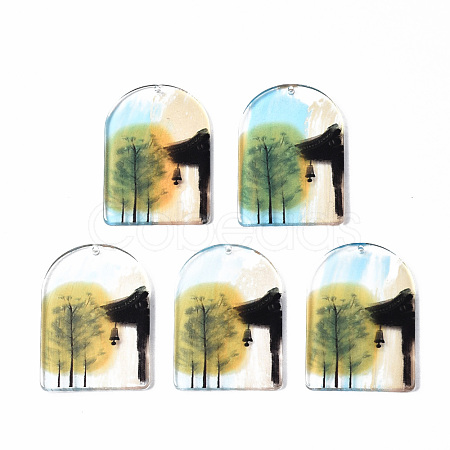 Transparent Printed Acrylic Pendants KY-S163-294-1