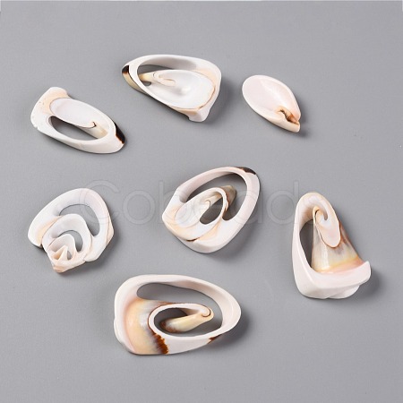 Natural Freshwater Shell Beads SHEL-C001-14-1