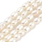 Natural Cultured Freshwater Pearl Beads Strands, Rice, Grade 5A, Snow, 2.8~3.2mm, Hole: 0.3mm, about 31pcs/strand, 6.69''~6.89''(17~17.5cm)