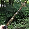 Natural Unakite Merkaba Star Wands, Fairy Sticks, with Built-in Battery Led Light, Egyptian Goddess Isis, 360x30mm