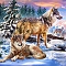 DIY Wolf & Scenery Diamond Painting Kits, including Resin Rhinestones, Diamond Sticky Pen, Tray Plate and Glue Clay, Colorful, 300x400mm