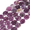 Natural Lepidolite Beads Strands G-L095-A01-01A-1