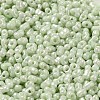 Glass Seed Beads SEED-K009-02A-09-3