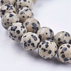 Natural Dalmatian Jasper Stone Bead Strands X-G-R193-14-10mm-3