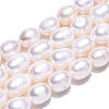 Natural Cultured Freshwater Pearl Beads Strands PEAR-L001-C-03-2