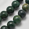 Natural Green Bloodstone Beads Strands G-K208-30-8mm-6