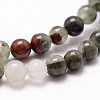 Natural African Bloodstone Beads Strands G-G735-32-6mm-3