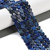 Dyed Natural Lapis Lazuli Beads Strands G-M403-A30-02-2