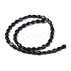 Natural Black Onyx Beads Strands G-Z006-A28-3
