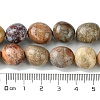 Natural Fossil Coral Beads Strands G-G117-A01-01-5