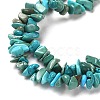 Natural Turquoise Chip Beads Strands X-G-D093-A01-4