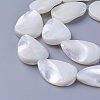 Shell Beads Strands SSHEL-E571-23E-1