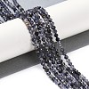 Natural Iolite Beads Strands G-G139-A11-03-2