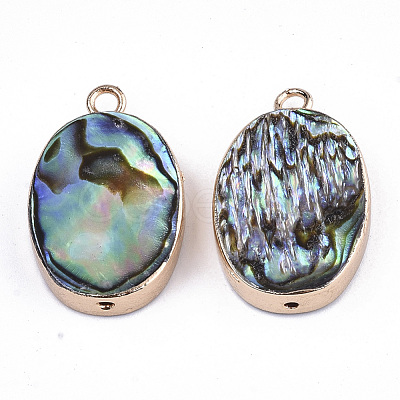 Natural Paua Shell Pendants SSHEL-R045-05-1