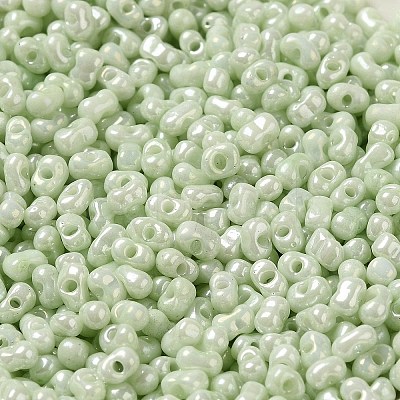 Glass Seed Beads SEED-K009-02A-09-1