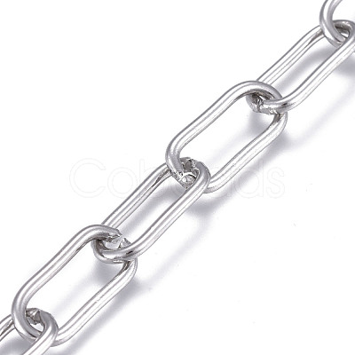 Tarnish Resistant 3.28 Feet 304 Stainless Steel Paperclip Chains X-CHS-F012-05P-1