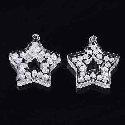 Transparent Acrylic Pendants TACR-R146-008-1