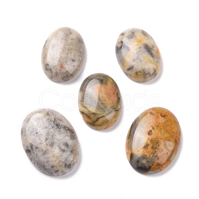 Natural Crazy Agate Cabochons G-P468-16B-02-1